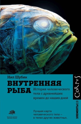 Нил Шубин, Внутренняя рыба. История человеческого тела с древнейших времен до наших дней