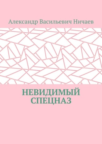 Александр Ничаев, Невидимый спецназ