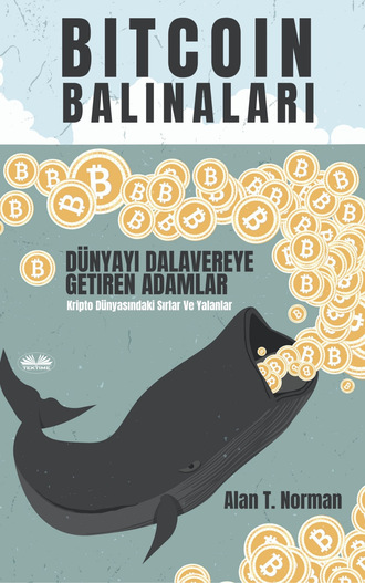 Alan T. Norman, Bitcoin Balinaları