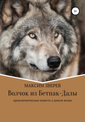 Максим Зверев, Волчок из Бетпак-Далы