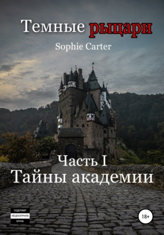Sophie Carter, Темные рыцари. Тайны академии