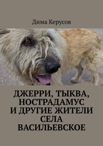 Дима Керусов, Джерри, Тыква, Нострадамус и другие жители села Васильевское