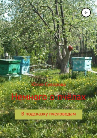 Юлия Суворова, Немного о пчёлах в подсказку пчеловодам