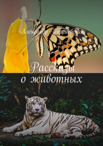 Александр Георгиевский, Рассказы о животных