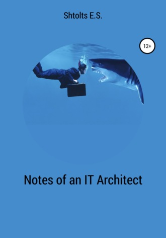 Eugeny Shtoltc, Notes of an IT Architect