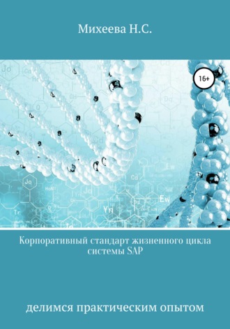 Наталия Михеева, Корпоративный стандарт жизненного цикла системы SAP