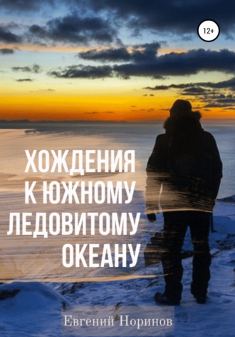Евгений Норинов, Хождения к Южному Ледовитому океану