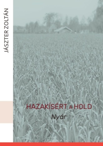 Zoltán Jászter, Hazakísért a Hold. Nyár