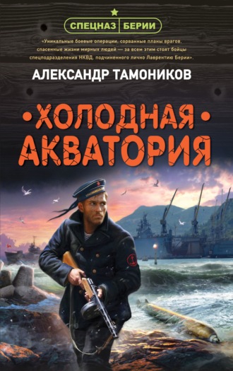 Александр Тамоников, Холодная акватория