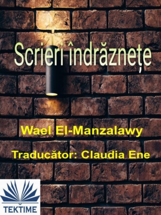 Wael El-Manzalawy, Scrieri Îndrăznețe