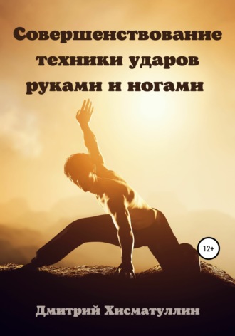 Дмитрий Хисматуллин, Совершенствование техники ударов руками и ногами