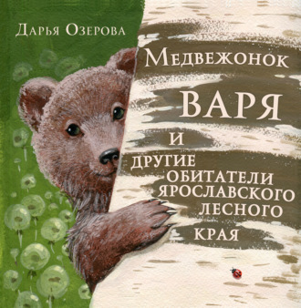 Дарья Озерова, Медвежонок Варя и другие обитатели ярославского лесного края
