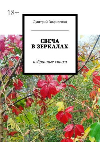 Дмитрий Гавриленко, Свеча в зеркалах. Избранные стихи