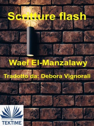 Wael El-Manzalawy, Scritture Flash