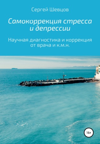 Сергей Шевцов, Самокоррекция стресса и депрессии