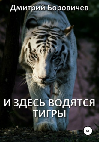 Дмитрий Боровичев, И здесь водятся тигры