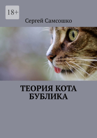 Сергей Самсошко, Теория кота Бублика