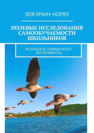 Зоя Ичин-Норбу, Полевые исследования самообучаемости школьников. Результаты таймырского эксперимента