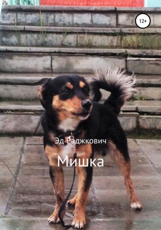 Эд Раджкович, Мишка