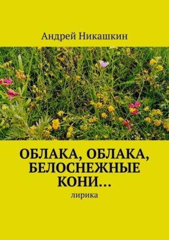 Андрей Никашкин, Облака, облака, белоснежные кони… Лирика