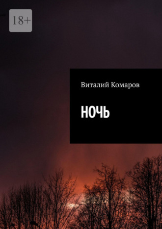 Виталий Комаров, Ночь