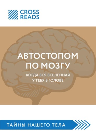 Майя Бызова, Саммари книги «Автостопом по мозгу. Когда вся вселенная у тебя в голове»