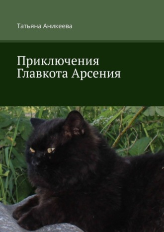 Татьяна Аникеева, Приключения Главкота Арсения