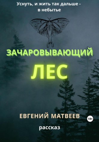 Евгений Матвеев, Зачаровывающий лес