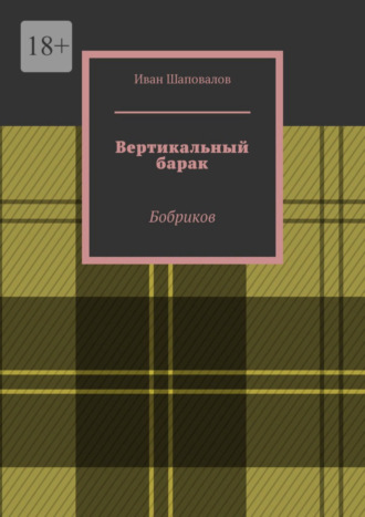 Иван Шаповалов, Вертикальный барак. Бобриков