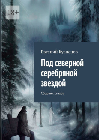 Евгений Кузнецов, Под северной серебряной звездой. Сборник стихов