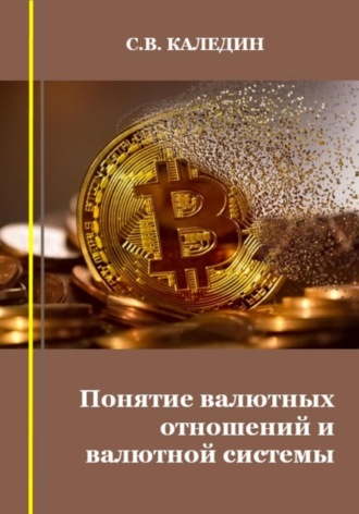 Сергей Каледин, Понятие валютных отношений и валютной системы