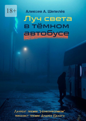 Алексей Шепелёв, Луч света в тёмном автобусе