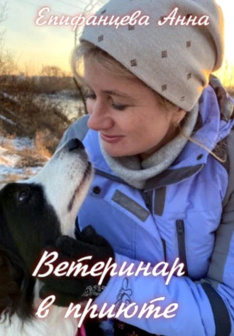 Анна Епифанцева, Ветеринар в приюте