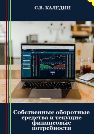 Сергей Каледин, Собственные оборотные средства и текущие финансовые потребности