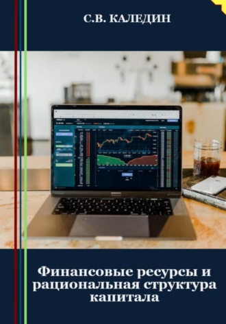 Сергей Каледин, Финансовые ресурсы и рациональная структура капитала