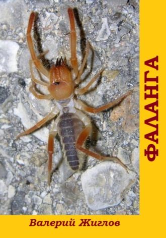 Фаланга Валерий Жиглов, Фаланга