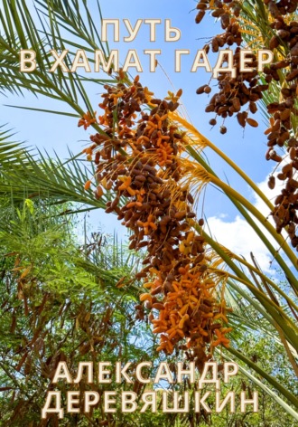 Путь в Хамат Гадер Александр Деревяшкин, Путь в Хамат Гадер