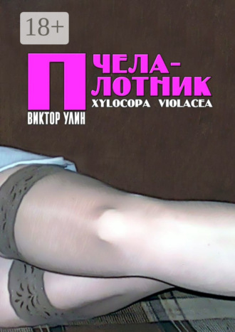 Пчела-плотник. Xylocopa violacea Виктор Улин, Пчела-плотник. Xylocopa violacea