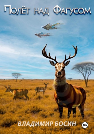 Полёт над Фагусом Владимир Босин, Полёт над Фагусом
