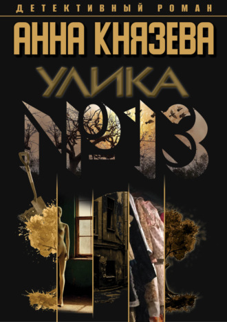 Улика № 13 Анна Князева, Улика № 13