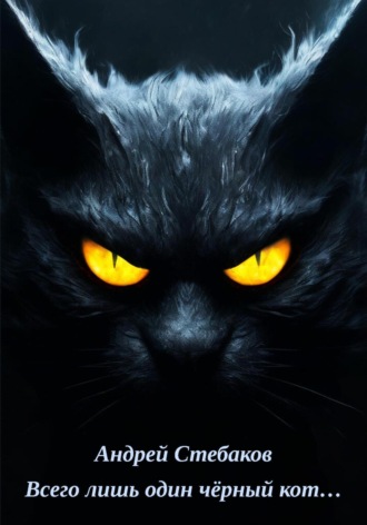 Андрей Стебаков, Всего лишь один чёрный кот…