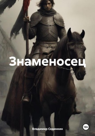 Знаменосец Владимир Сединкин, Знаменосец