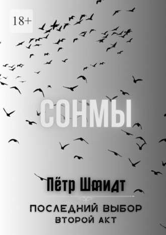 Пётр Шмидт, Сонмы. Последний выбор – Второй акт