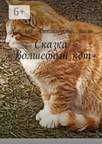 Сказка «Волшебный кот» Николай Васин, Сказка «Волшебный кот»