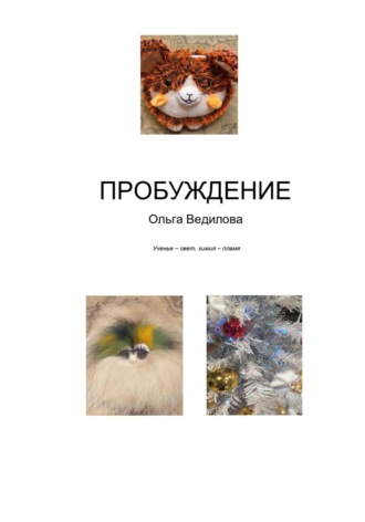 Пробуждение Ольга Ведилова, Пробуждение