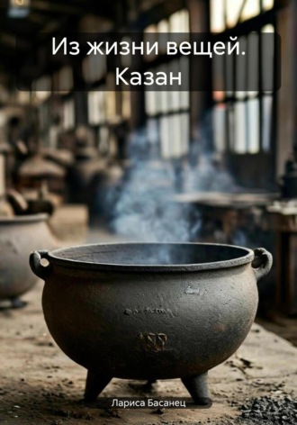 Лариса Басанец, Из жизни вещей. Казан