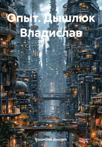 Опыт. Дышлюк Владислав Владислав Дышлюк, Опыт. Дышлюк Владислав