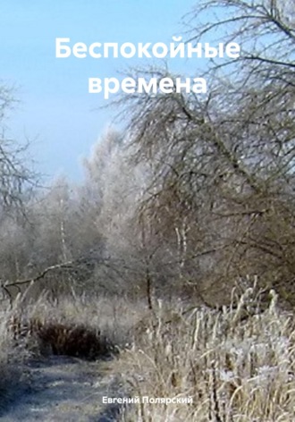 Беспокойные времена Евгений Полярский, Беспокойные времена