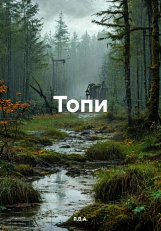 Топи Я.В.А., Топи