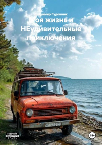 Владимир Гудошник, Моя жизнь и НЕудивительные приключения